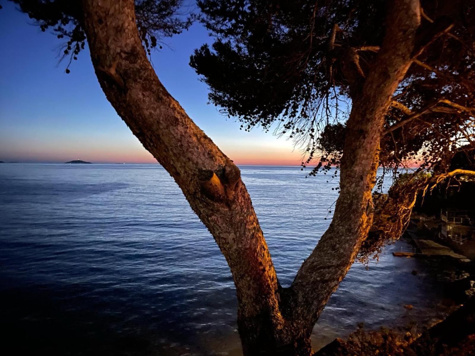 Vacances Bord De Mer - Appartement Sanary Sur Mer Екстер'єр фото